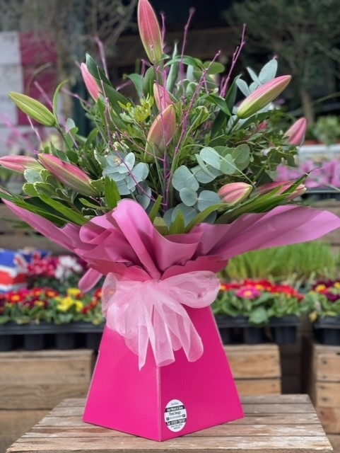 Karl's Special Pink Lilies