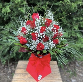 Karl's Ultimate Dozen Red Rose Special